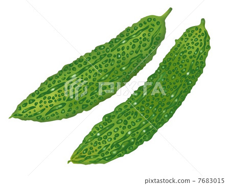 苦瓜 苦瓜 7683015