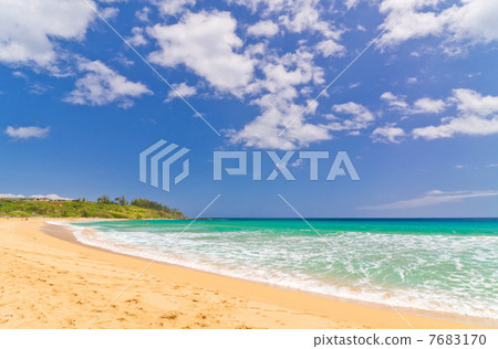 夏威夷考艾島凱拉海灘 夏威夷考艾島凱拉海灘 7683170