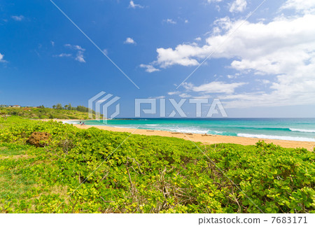 夏威夷考艾島凱拉海灘 夏威夷考艾島凱拉海灘 7683171