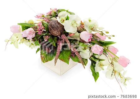 abstract composition from orchids, tulips,coconut, rocks and vin abstract composition from orchids, tulips,coconut, rocks and vin 7683698