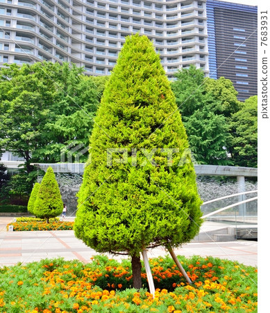 Wadakura噴泉公園的Hinoki乾淨地修剪 7683931