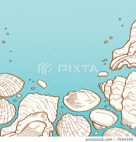 Seashell background 7684399