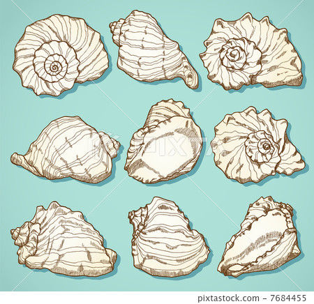 Seashell set in vintage style 7684455