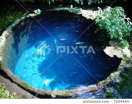 That's right, let's go to Shizuoka. 7684484