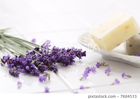 lavender lavender 7684533