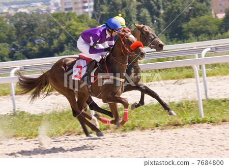 Horse racing Horse racing 7684800