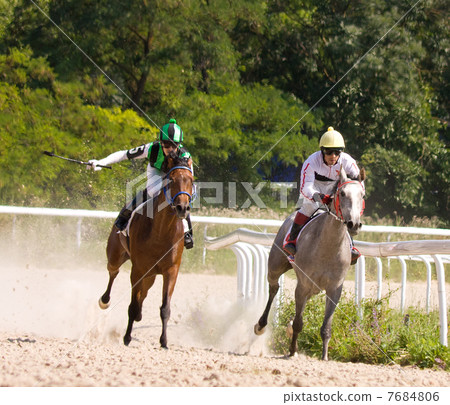 Horse racing Horse racing 7684806