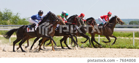 Horse racing Horse racing 7684808