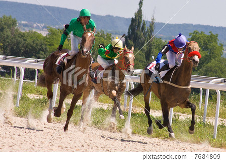 Horse racing Horse racing 7684809