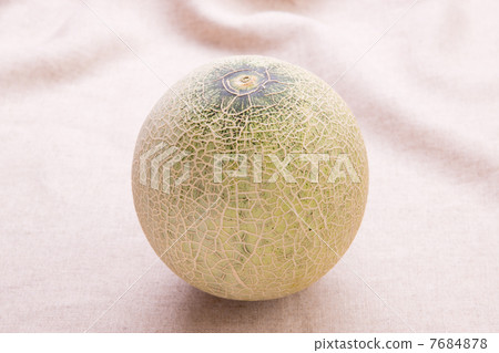 安第斯山梅隆 7684878