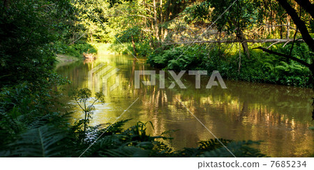 Forest river Forest river 7685234