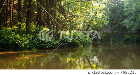Forest river 7685235