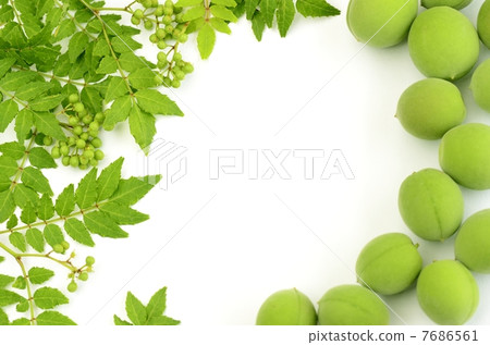 框架 框架 7686561