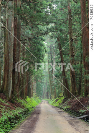 Nikko Suginami Kaido Road 7686925