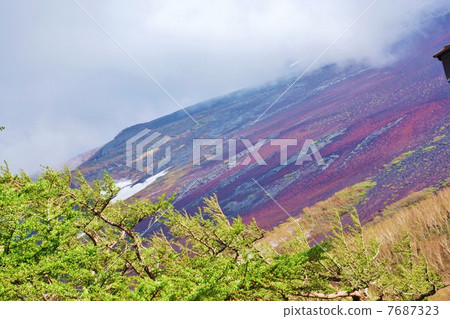 Summer from the fifth consecutive summer Fuji's mountain side · Horizontal position Summer from the fifth consecutive summer Fuji's mountain side · Horizontal position 7687323