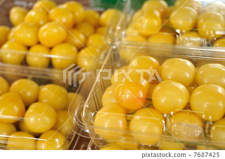 Tsukiyama Nishiki 7687425