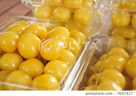 Tsukiyama Nishiki 7687427