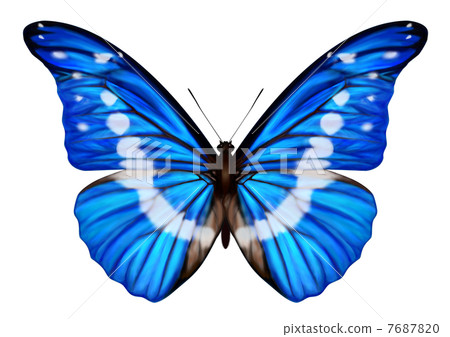 海倫娜·莫弗 7687820