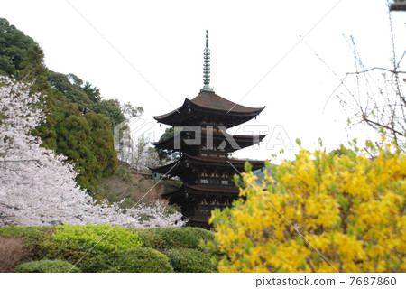 Five-story pagoda of Rurikoji Temple in the season of cherry blossoms Five-story pagoda of Rurikoji Temple in the season of cherry blossoms 7687860