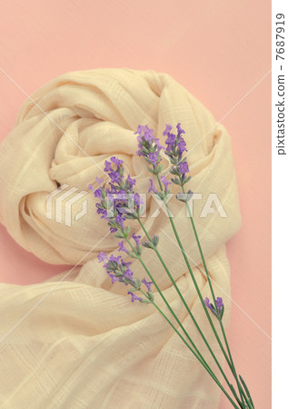 長圍巾和薰衣草花 7687919