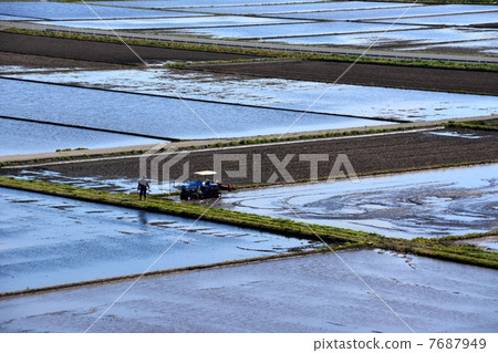 Rice planting in Takanezawa Town, Shioya District, Tochigi Prefecture Rice planting in Takanezawa Town, Shioya District, Tochigi Prefecture 7687949