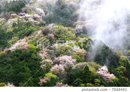 Landscape of Satoyama Landscape of Satoyama 7688481