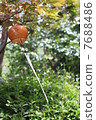  Wind bell 7688486