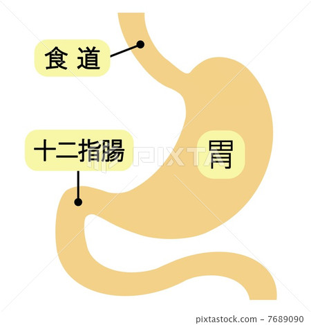 胃腸圖 7689090