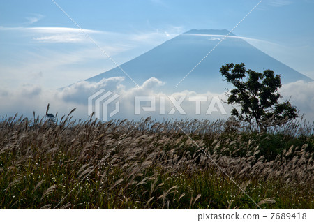 Morning fog on the spread of the wilderness 7689418