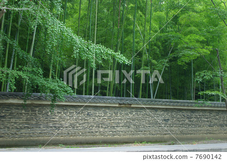 Kyoto Daikokuji Tower Head Ryuzaiji Bamboo Forest and Tile Wall 7690142
