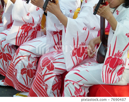 Festival Shamisen Festival Shamisen 7690487