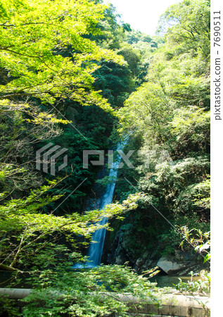 Mizuwaki Falls Waterfall Falls 7690511