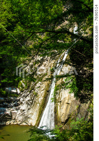 Tateki no Taki Otaki 7690514