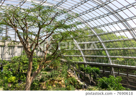 蝴蝶圓頂藍天和熱帶多摩多摩動物園 蝴蝶圓頂藍天和熱帶多摩多摩動物園 7690618
