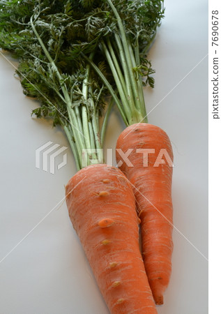 Carrots Carrots 7690678