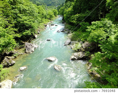 水上的自然 7691048