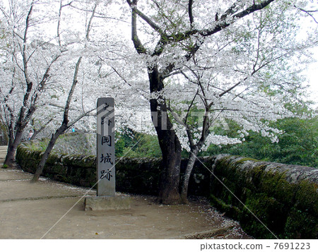 Oka castle ruins Oka castle ruins 7691223