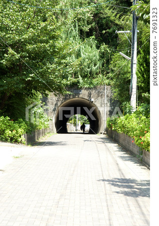 Tunnel of Aijima 7691323