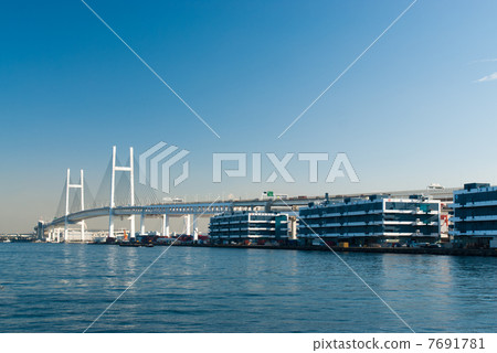 橫濱灣大橋 7691781