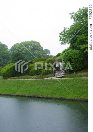 Okayama Korakuen which is washed in rain in May (vertical position) 7692853