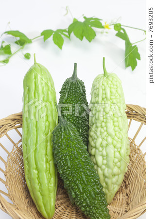 夏季蔬菜·戈雅品種 7693205