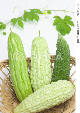 夏季蔬菜·戈雅品種 7693207