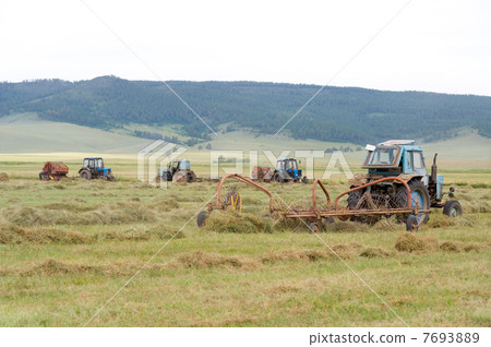 hay harvesting 7693889