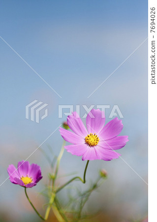 宇宙 宇宙 7694026