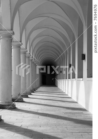 columns columns 7694976
