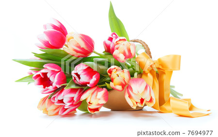 tulips 7694977