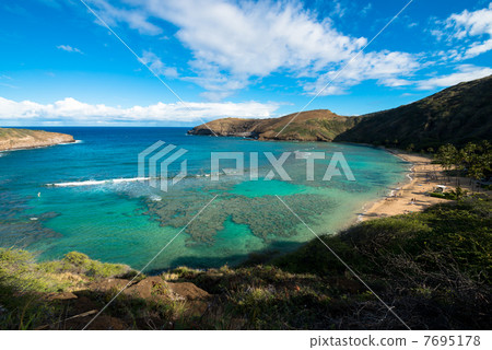 夏威夷哈瑙瑪灣 夏威夷哈瑙瑪灣 7695178