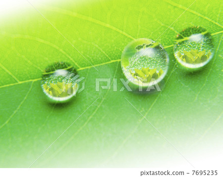 反射在年輕葉子水滴的地球Eco圖像地球 7695235