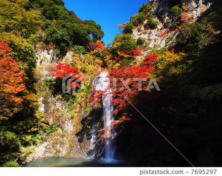 Falls of Minoo of autumnal leaves Falls of Minoo of autumnal leaves 7695297