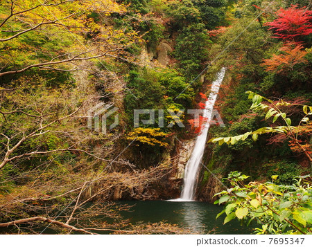 Falls waterfall of autumn leaves 7695347